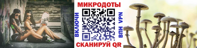 Купить  Новосибирск  Галлюциногенные грибы мицелий 
