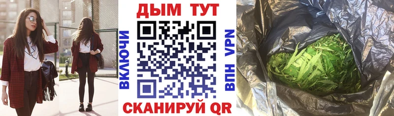Купить закладки  Новосибирск  Каннабис тримм 